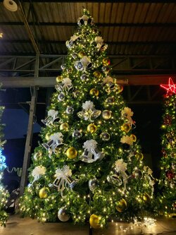 ต้นคริสต์มาสปลอมขนาดใหญ่ 6เมตร พร้อมของตกแต่ง