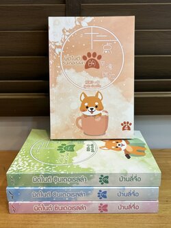 มิดไนต์ซินเดอเรลล่า เล่ม 1-4 จบ ... ป่านลี่จือ (มือสอง) นิยาย แปลจีน นิยายรัก