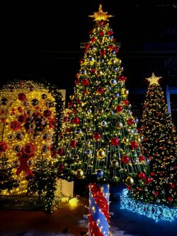 ให้เช่าต้นคริสต์มาสปลอม ขนาด4.5เมตร พร้อมตกแต่งครบมาตราฐาน