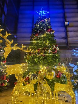 กวางไฟประดับ 50cm