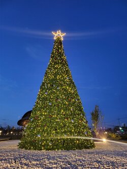 ต้นคริสต์มาสขนาดใหญ่ ทรงกรวย 12เมตร