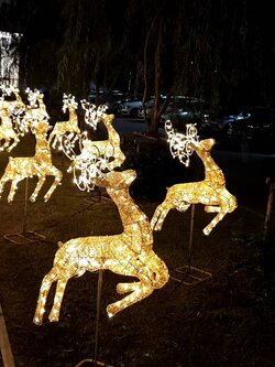 ให้เช่ากวางกระโดดขนาด1.8