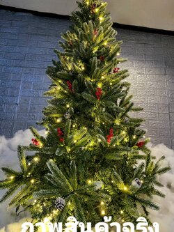 ต้นคริสต์มาสปลอม"ช่วยเลือกให้คุณ"