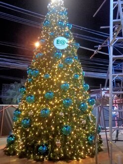 ให้เช่าต้นคริสต์มาสปลอมกรวย ขนาด7เมตร พร้อมตกแต่งครบมาตราฐาน