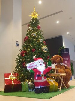 ต้นคริสต์มาสพร้อมของตกแต่ง