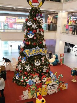 ลดค่าใช้จ่ายด้วยการเช่าต้นคริสต์มาส