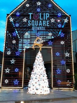 ให้เช่าต้นคริสต์มาสปลอมกรวย สนขาว ขนาด5เมตร พร้อมตกแต่งครบมาตราฐาน