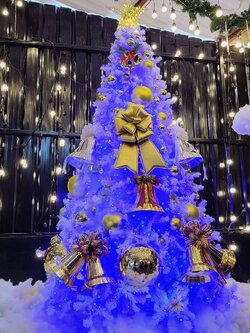 ให้เช่าต้นคริสต์มาสปลอม ขนาด 10ฟุตพร้อมตกแต่งครบมาตราฐาน