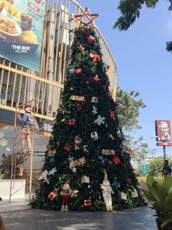 ให้เช่าต้นคริสต์มาสปลอมกรวย ขนาด6เมตร พร้อมตกแต่งครบมาตราฐาน