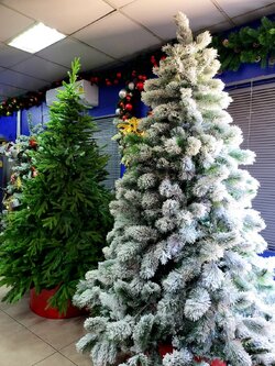 ให้เช่าต้นคริสต์มาสปลอมหิมะ สนนอกฟู ขนาด7.5ฟุต พร้อมตกแต่งครบมาตราฐาน