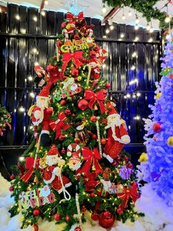 ให้เช่าต้นคริสต์มาสปลอม ขนาด10ฟุต พร้อมตกแต่งครบมาตราฐาน