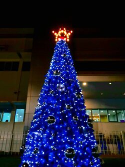 ให้เช่าต้นคริสต์มาสปลอมกรวย ขนาด6เมตร พร้อมตกแต่งครบมาตราฐาน