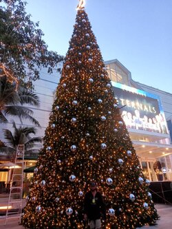 ให้เช่าต้นคริสต์มาสปลอมกรวย ขนาด9เมตร พร้อมตกแต่งครบมาตราฐาน