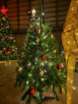 ให้เช่าต้นคริสต์มาสปลอม ขนาด5ฟุต พร้อมตกแต่งครบมาตราฐาน