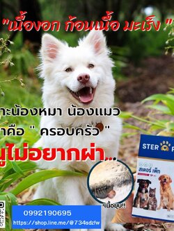 เซตทดลอง สเตอร์ เพ็ท Ster Pet เนื้องอกหมาแมว ก้อนเนื้อหมาแมว มะเร็งสุนัขแมว ลดอักเสบ ลดขนาดก้อนเนื้อ เบื่ออาหาร น้ำหนักลด ไตวายหมาแมว แผลยุบเร็ว ( 15 แคปซูล)
