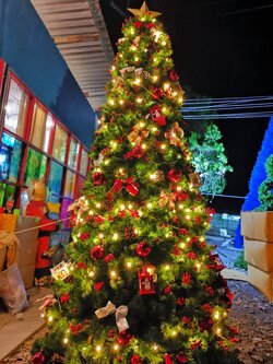 ให้เช่าต้นคริสต์มาสปลอมกรวย ขนาด3เมตร พร้อมตกแต่งครบมาตราฐาน
