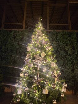 ให้เช่าต้นคริสต์มาสปลอม ขนาด 8ฟุต พร้อมตกแต่งครบมาตราฐาน