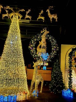 ให้เช่าต้นคริสต์มาสปลอมกรวยไฟ ขนาด5เมตร พร้อมตกแต่งครบมาตราฐาน