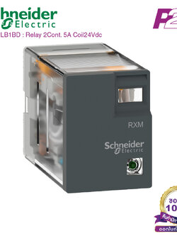 RXM2LB1BD : 2 คอนแทค 5A 24VDC - Schneider Relay รีเลย์ by pik2pak.com
