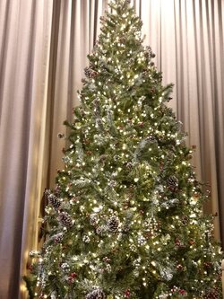 ให้เช่าต้นคริสต์มาสปลอม ขนาด10ฟุต พร้อมตกแต่งครบมาตราฐาน