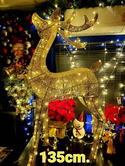 ให้เช่ากวางไฟขนาด135cm.