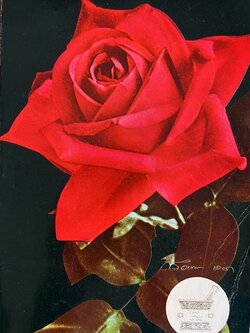 หนังสืออนุสรณ์เภสัชกรหญิง บัวเทพ เลอลภ อดีตหัวหน้าเภสัชกรรมโรงพยาบาลราชวิถี (เภสัชกรรมโรงพยาบาลและคลังยา คุณและโทษของยา).