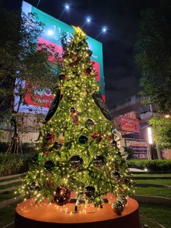 ต้นคริสต์มาสปลอม.com บริการตกแต่ง