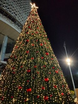 ให้เช่าต้นคริสต์มาสปลอมกรวย ขนาด15เมตร พร้อมตกแต่งครบมาตราฐาน