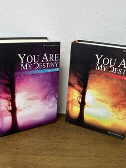 You Are My Destiny มารยาตะวัน เล่ม 1-2 จบ ครบชุด ... Mirininthemoon (มือสอง) ปกแข็ง นิยาย โรแมนติก ทำมือ