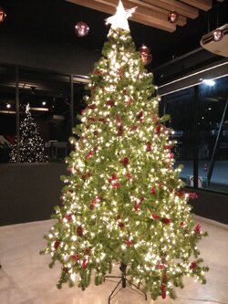 ให้เช่าต้นคริสต์มาสปลอม ขนาด10ฟุต พร้อมตกแต่งครบมาตราฐาน