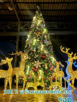 20ฟุต ต้นคริสต์มาสประดับพร้อมของตกแต่งรอบต้น