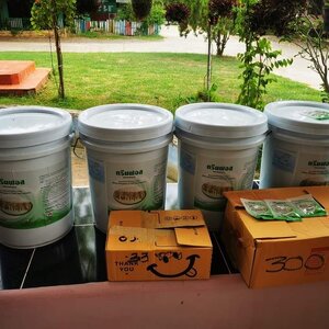 วันที่ 10 พฤษภาคม 2566 ส่งงานทรายอะเบทให้องค์กรปกครองส่วนท้องถิ่นในพื้นที่ อ.ฮอด จ.เชียงใหม่