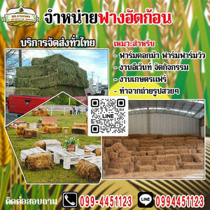 ประโยชน์มหาศาลของฟางข้าว 15 ข้อ ที่คุณไม่เคยรู้มาก่อน