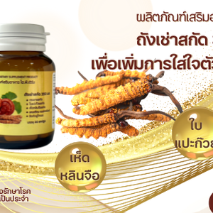ถังเช่า ไฮ พี