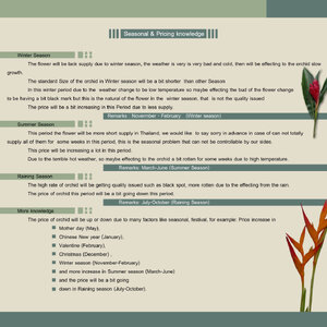 Seasonal & Pricing knowledge