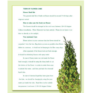 TERM-OF-FLOWER-CARE
