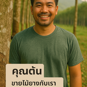 รีวิวรับซื้อไม้ยางพารา สิชล ท่าศาลา ขนอม นครศรีฯ