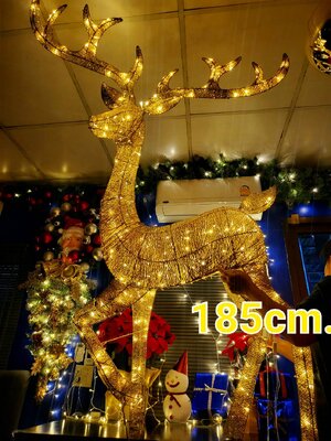 ให้เช่ากวางไฟ ขนาด185cm. พร้อมตกแต่งครบมาตราฐาน