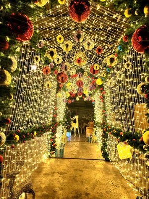 ให้เช่าซุ้มอุโมงค์ไฟ ขนาด6เมตร พร้อมตกแต่งครบมาตราฐาน