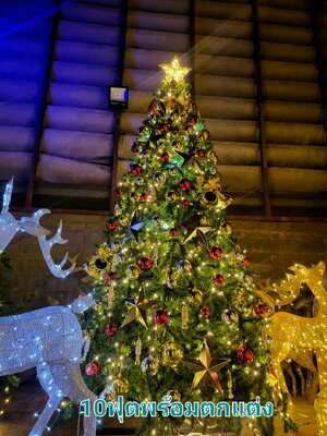 ให้เช่าต้นคริสต์มาสปลอม ขนาด10ฟุต พร้อมตกแต่งครบมาตราฐาน