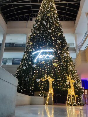 ให้เช่าต้นคริสต์มาสปลอมกรวย ขนาด12เมตร พร้อมตกแต่งครบมาตราฐาน