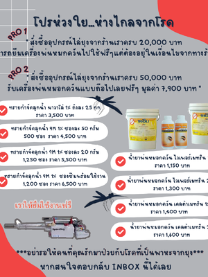 โปรกำจัดยุง
