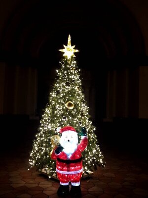 ให้เช่าต้นคริสต์มาสปลอม ขนาด3เมตร พร้อมตกแต่งครบมาตราฐาน