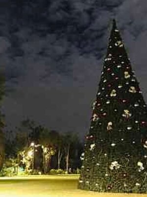 ให้เช่าต้นคริสต์มาสปลอมกรวย ขนาด15เมตร พร้อมตกแต่งครบมาตราฐาน