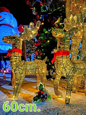 กวางไฟ60cm.สิ่งที่คุณต้องมีในการตกแต่งธีมคริสต์มาส