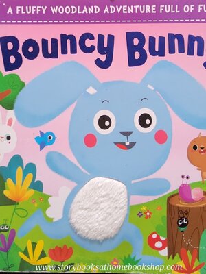 TOUCH AND FEEL Board Book** 🍅🍓BOUNCY BUNNY