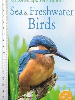 Knowledge Book** 🍅🍅Usborne Spotter's Guide SEA&FRESHWATER BIRDS