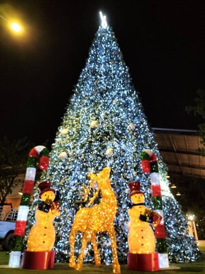 ให้เช่าต้นคริสต์มาสปลอมกรวย ขนาด12เมตร หิมะ พร้อมตกแต่งครบมาตราฐาน