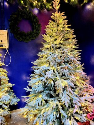 ให้เช่าต้นคริสต์มาสปลอมหิมะ สนนอก ขนาด6ฟุต