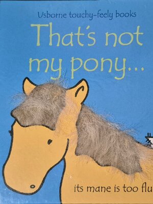 TOUCH AND FEEL BOARD BOOK** 🍅🍅THAT'S NOT MY PONY...
